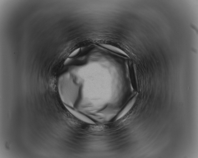 X0000091670671200709131529