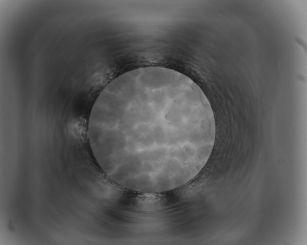 X0000091670672200709131529