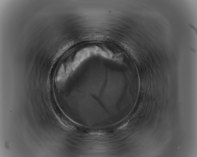 X0000091670674200709131529