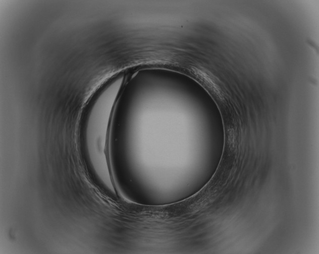 X0000091670676200709131529