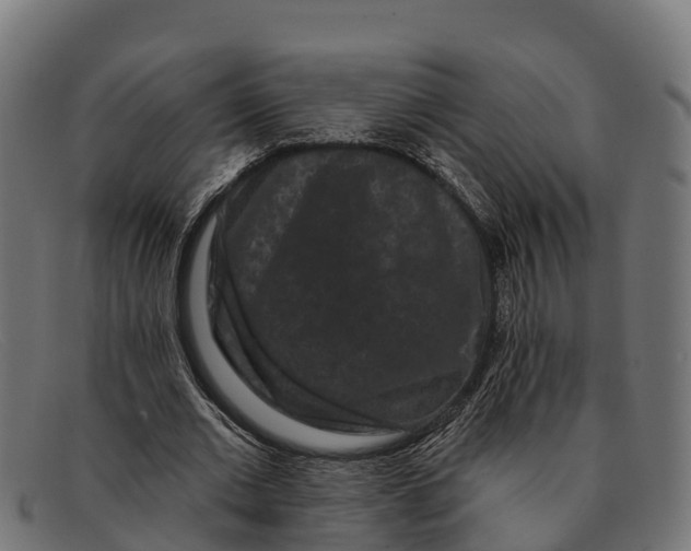 X0000091670677200709131529