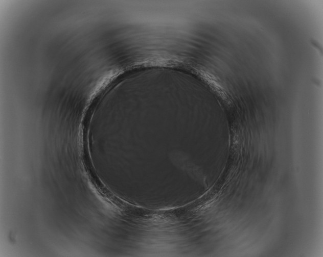 X0000091670678200709131529