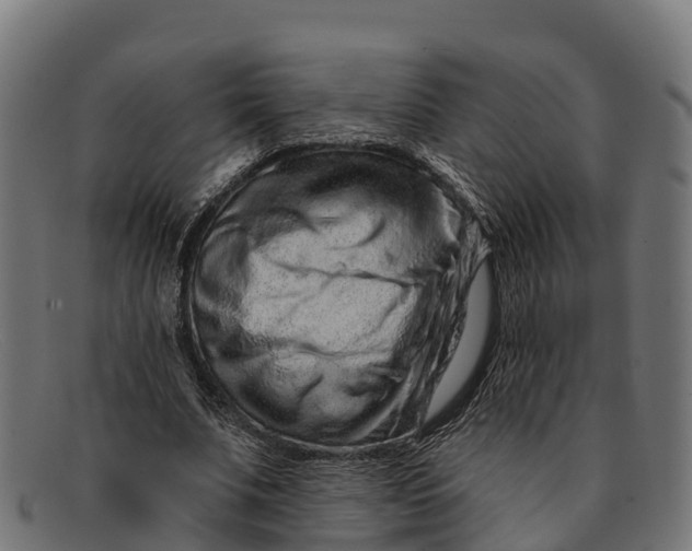 X0000091670679200709131529