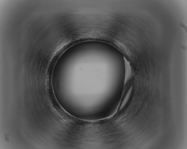 X0000091670680200709131529