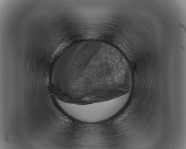 X0000091670681200709131529