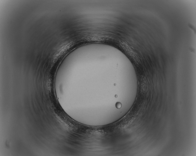 X0000091670683200709131529