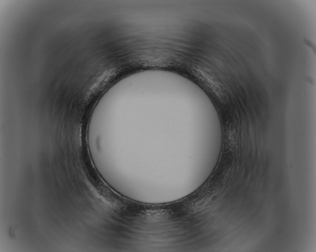 X0000091670686200709131529