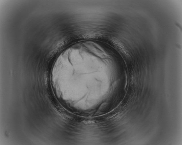 X0000091670687200709131529