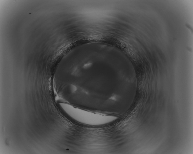 X0000091670689200709131529