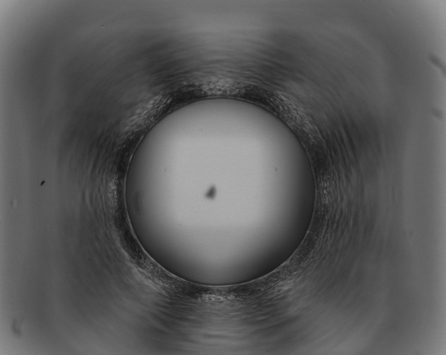 X0000091670690200709131529