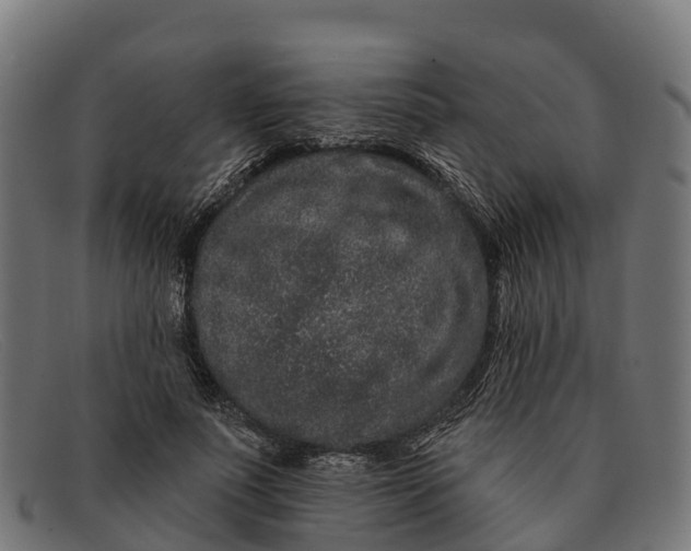 X0000091670691200709131529