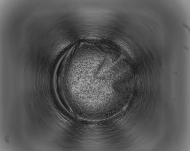 X0000091670692200709131529