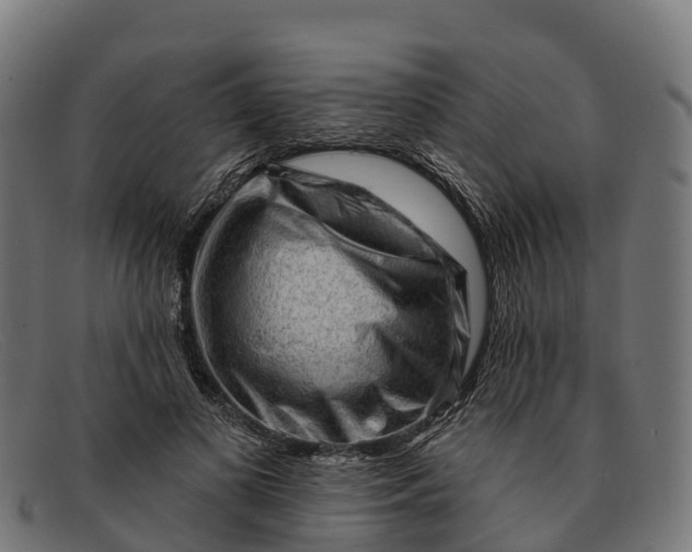 X0000091670693200709131529