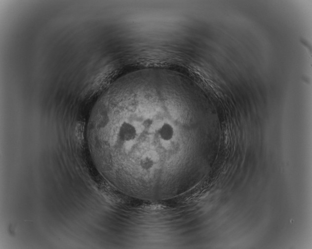 X0000091670695200709131529