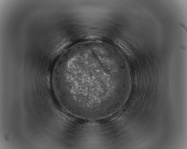 X0000091670696200709131529