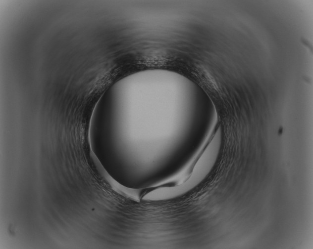 X0000091670697200709131529