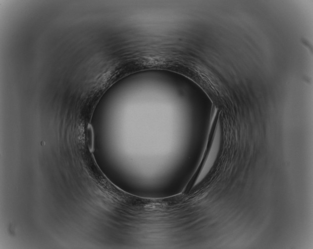 X0000091670700200709131529