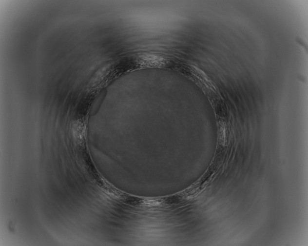 X0000091670701200709131529