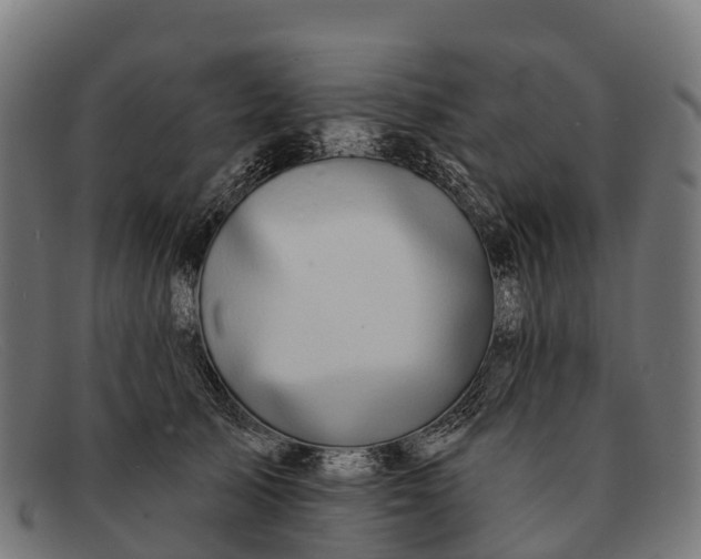 X0000091670705200709131529