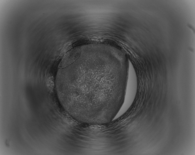 X0000091670707200709131529