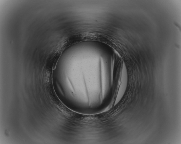 X0000091670708200709131528