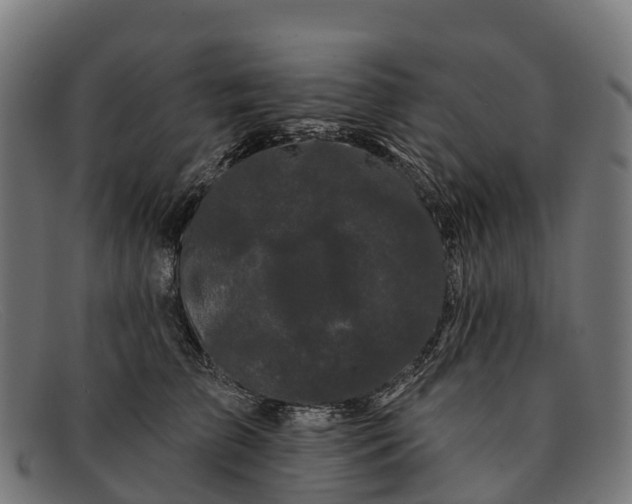 X0000091670709200709131528