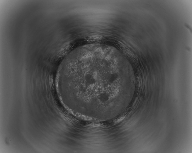 X0000091670711200709131528