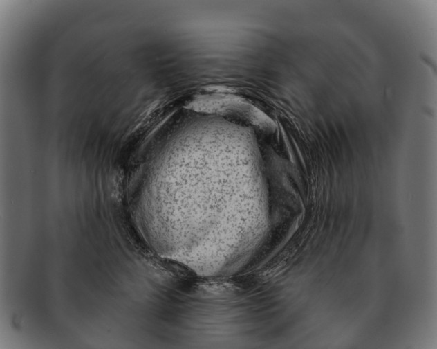 X0000091670712200709131528