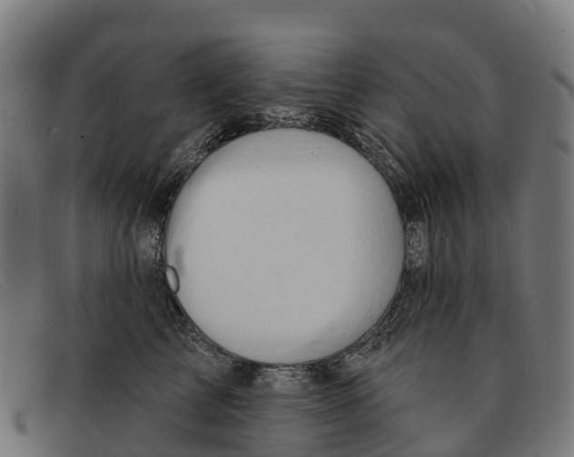 X0000091670713200709131528