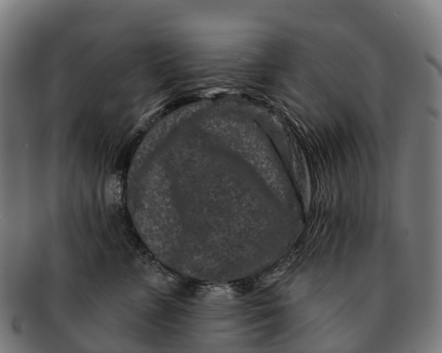 X0000091670715200709131528