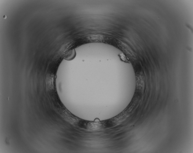 X0000091670717200709131528