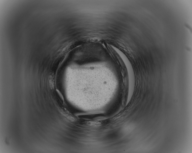 X0000091670719200709131528