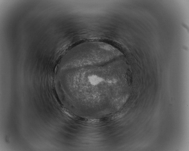 X0000091670720200709131528