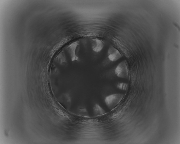 X0000091670721200709131528