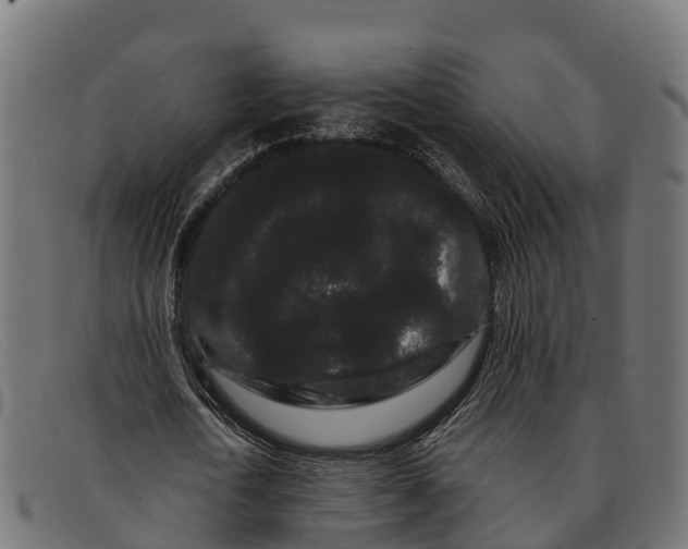 X0000091670722200709131528