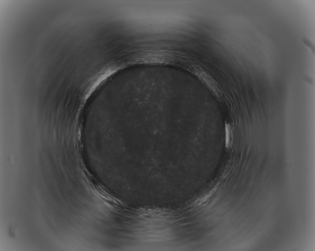 X0000091670723200709131528