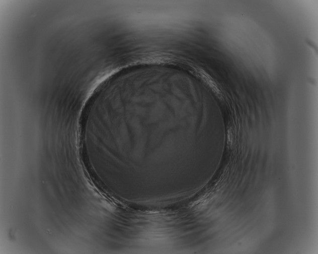 X0000091670724200709131528