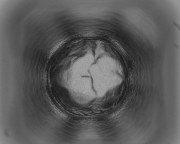 X0000091670725200709131528