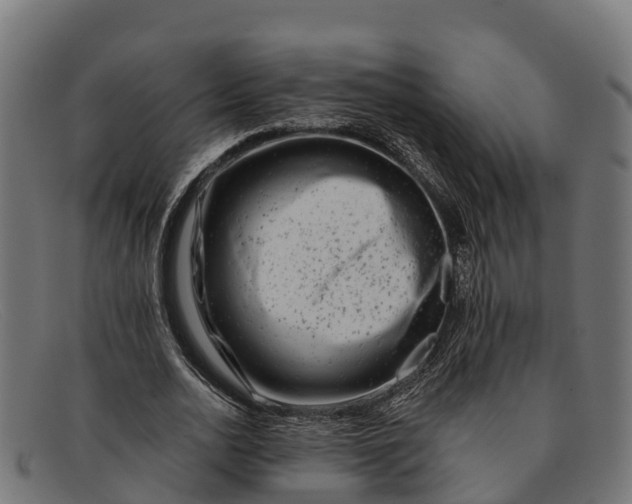 X0000091670726200709131528