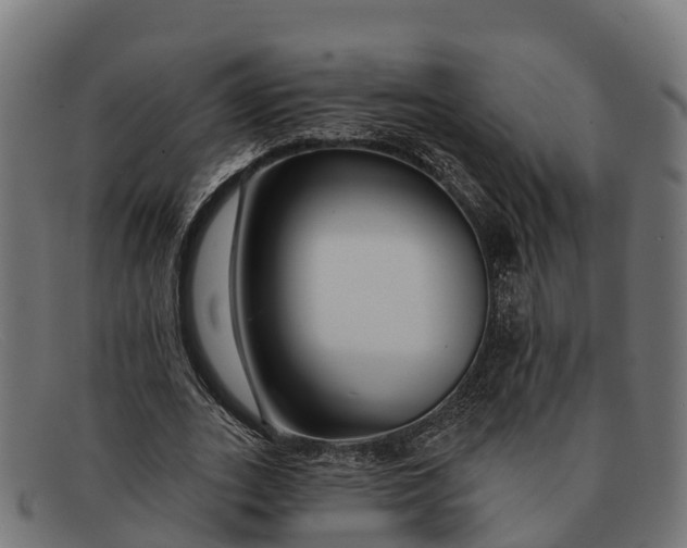 X0000091670727200709131528