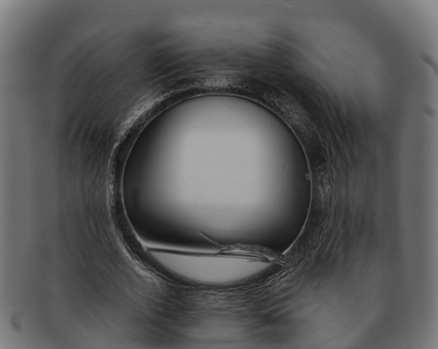 X0000091670728200709131528