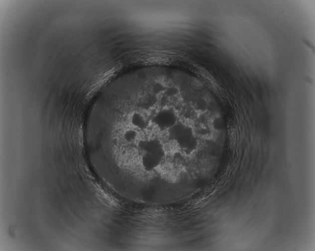 X0000091670729200709131528