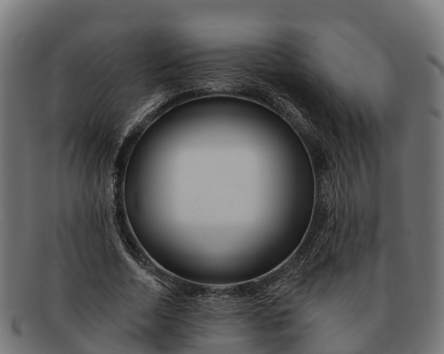 X0000091670730200709131528