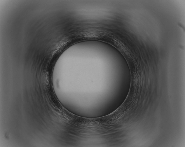 X0000091670731200709131528