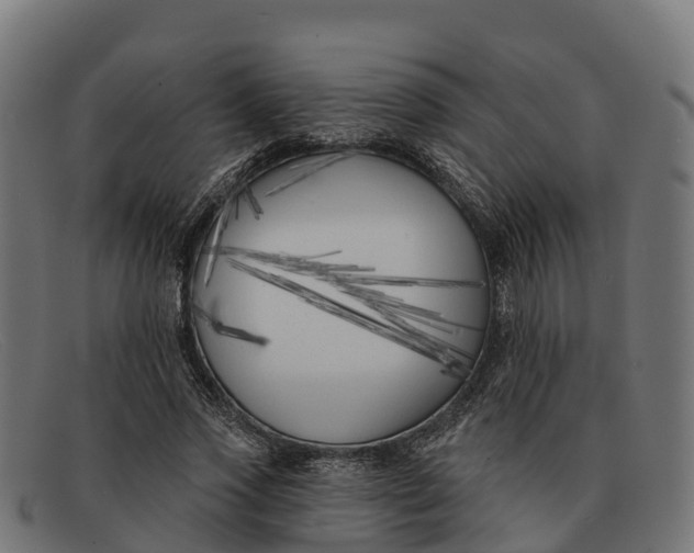 X0000091670733200709131528