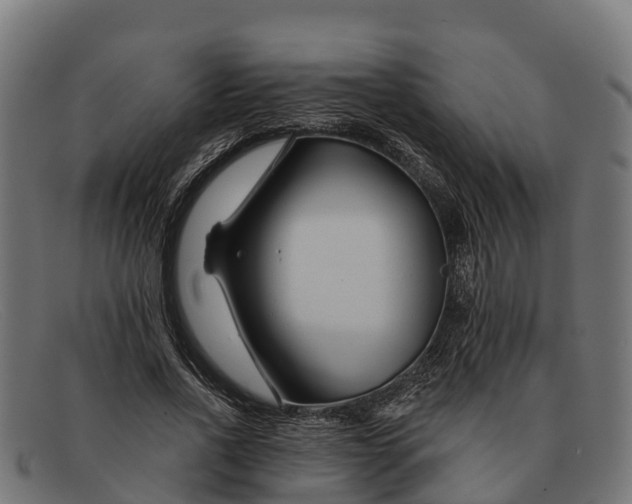 X0000091670734200709131528