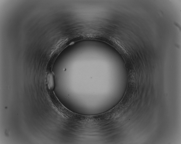 X0000091670738200709131528