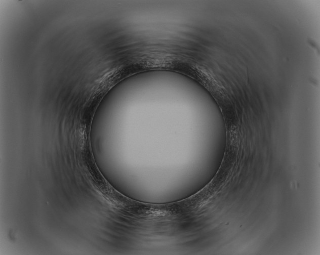 X0000091670741200709131528