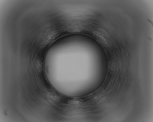 X0000091670743200709131528