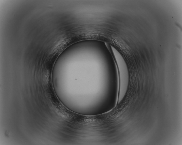 X0000091670744200709131528